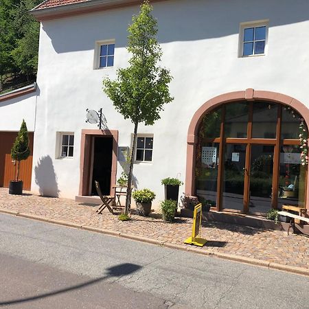 Appartamento Trasse Belge Trassem Esterno foto