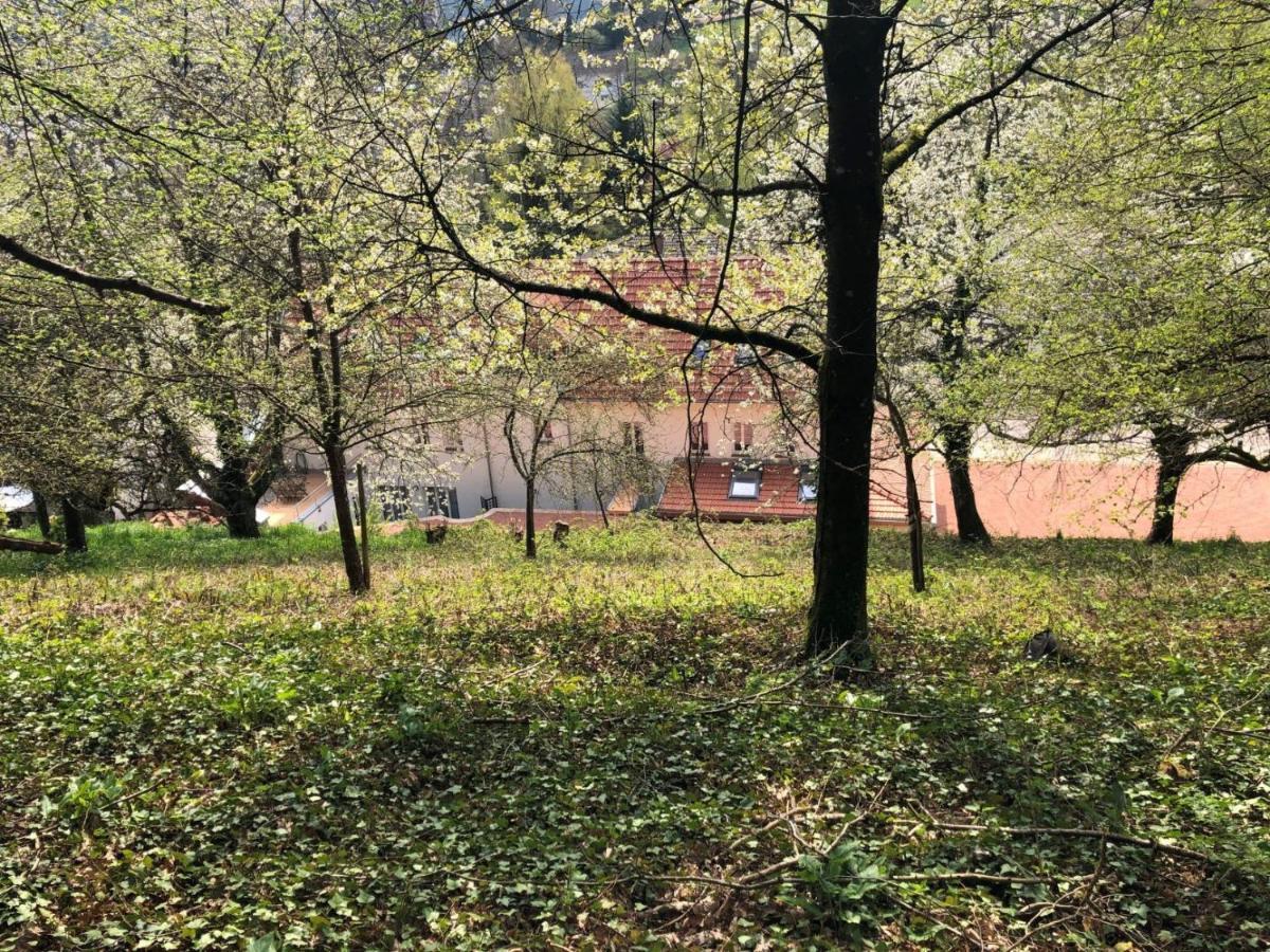 Appartamento Trasse Belge Trassem Esterno foto